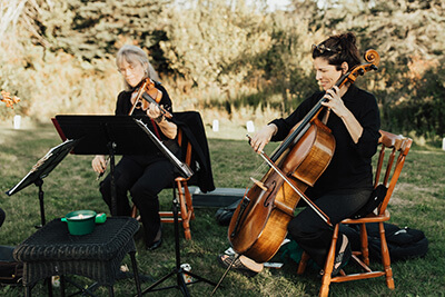 Acadia String Quartet Shape of You